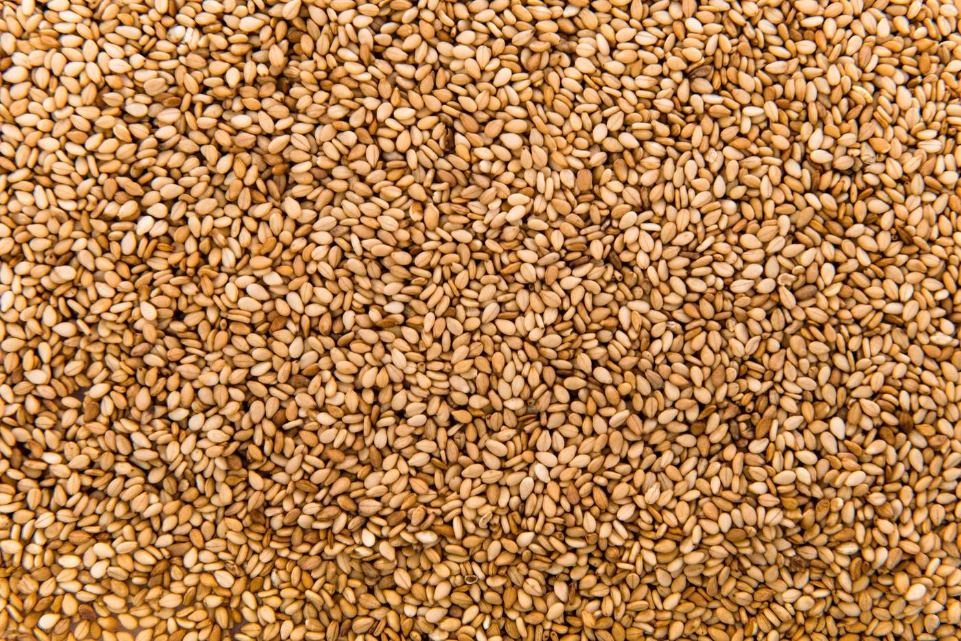 Premium Nigerian sesame seeds prepared for export